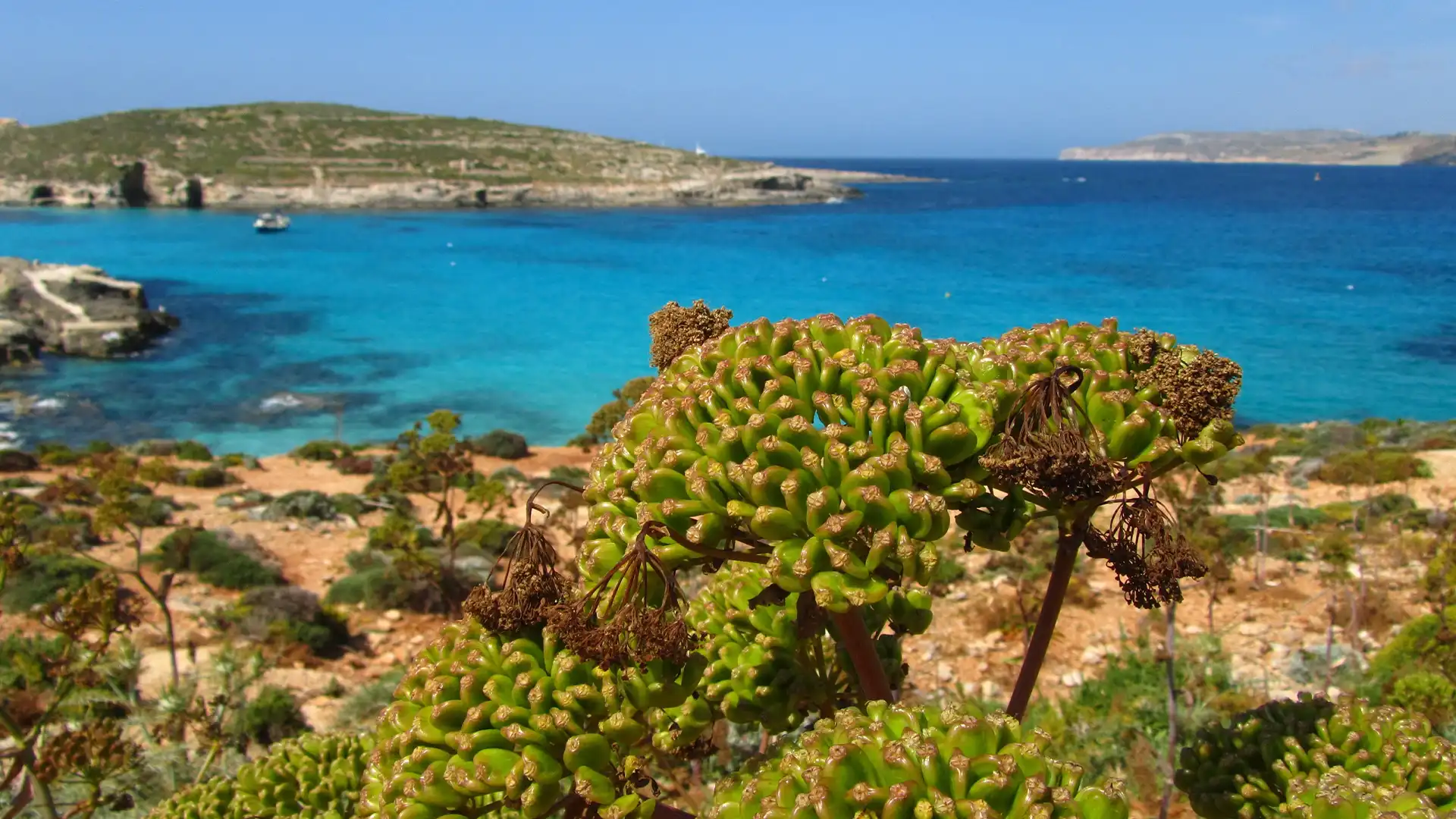 Malta Mastermind - Das exklusive Unternehmerevent